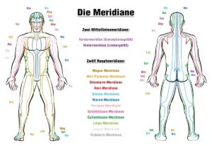 12 meridiane verlauf